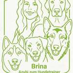 Ersteller:in Sabrina Profilbild