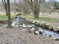 Hundeauslaufgebiet-Stefansbachtal Gevelsberg-Bild