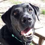 Ersteller:in Heike Profilbild