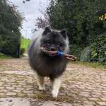 Ersteller:in Anna Profilbild