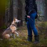 Ersteller:in Lara Profilbild