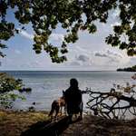 Ersteller:in Lara Profilbild