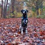 Ersteller:in Jessi Profilbild