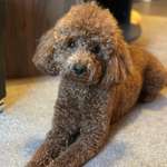 Ersteller:in Maria Profilbild