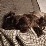 Ersteller:in Klaudia Profilbild