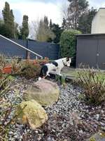 Angst im Wald?-Beitrag-Bild