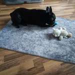 Ersteller:in Ann Profilbild