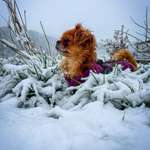 Ersteller:in Jenny Profilbild