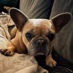 Ersteller:in Mandy Profilbild