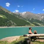 Ersteller:in Anna Profilbild