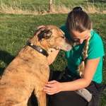 Ersteller:in Ca Profilbild