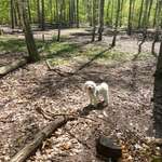 Ersteller:in Nicole Profilbild