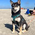 Ersteller:in Toni Profilbild