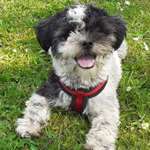 Ersteller:in Beate Profilbild