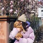 Ersteller:in Olya Profilbild