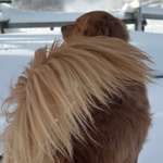 Ersteller:in Daniel Profilbild