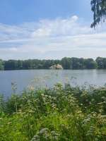Hundeauslaufgebiet-Klutensee Lüdinghausen-Bild