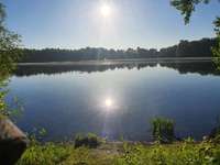 Hundeauslaufgebiet-Klutensee Lüdinghausen-Bild