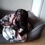 Ersteller:in Josi Profilbild