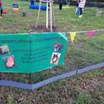 Hundeauslaufgebiet-Mühlburg-Bild