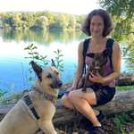 Ersteller:in Dina Profilbild