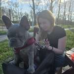 Ersteller:in Ma Profilbild