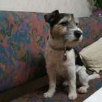 Ersteller:in Helmut Profilbild