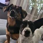 Ersteller:in Sandra Profilbild