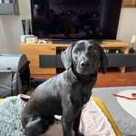 Ohrenentzündung?-Beitrag-Bild