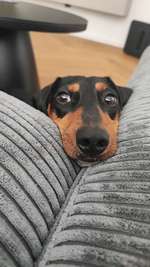 Pickel neben der Nase-Beitrag-Bild