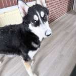 Ersteller:in Alina Profilbild