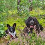 Ersteller:in Kerstin Profilbild