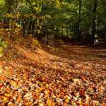 Ersteller:in Nici Profilbild