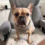 Ersteller:in Anita Profilbild