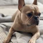 Ersteller:in Anita Profilbild