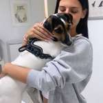 Ersteller:in Michelle Profilbild