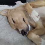 Ersteller:in Jasmin Profilbild