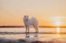 18. Farben Fotochallenge: Sonnenuntergang-Beitrag-Bild