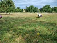 Hundeauslaufgebiet-Freilauffläche Salinenpark-Bild