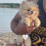 Ersteller:in Vanessa Profilbild