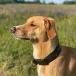 Ersteller:in Anissa Profilbild