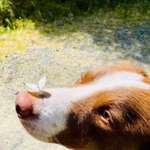 Ersteller:in Vanessa Profilbild