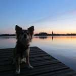 Ersteller:in DieStef Profilbild