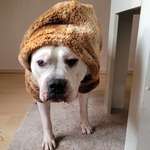 Ersteller:in Michael Profilbild