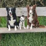 Ersteller:in Lena Profilbild