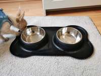 Ausstattung Welpe-Beitrag-Bild