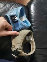 Ausstattung Welpe-Beitrag-Bild