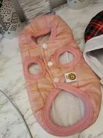 Ausstattung Welpe-Beitrag-Bild