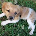 Ersteller:in Isolde Profilbild