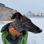 Ersteller:in Senta Profilbild